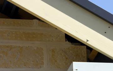 soffit repair Way